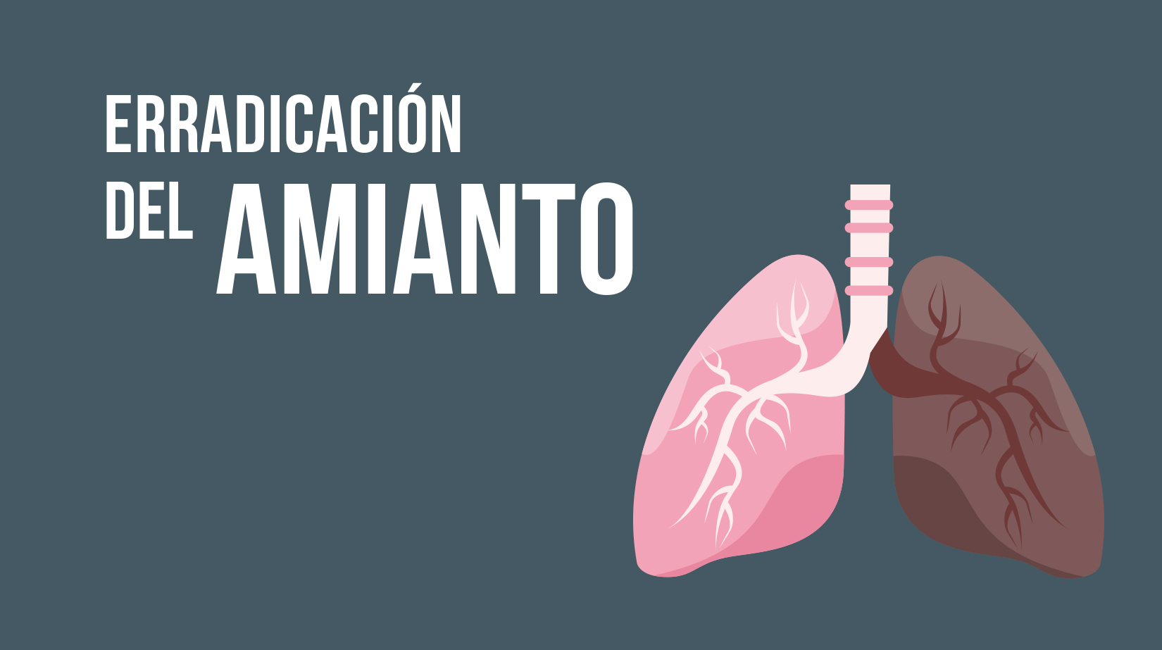 Semana Europea del Cáncer de Pulmón: Erradicación del amianto